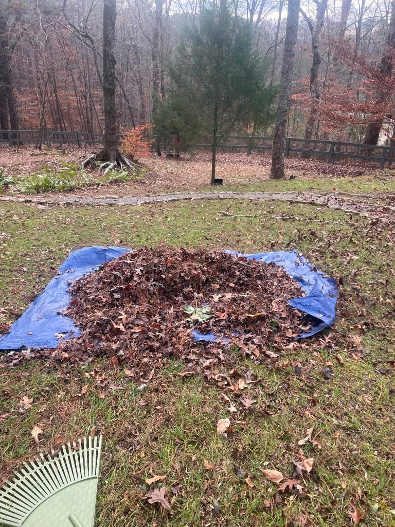 Leaf blowing and cleanup project photograph 3